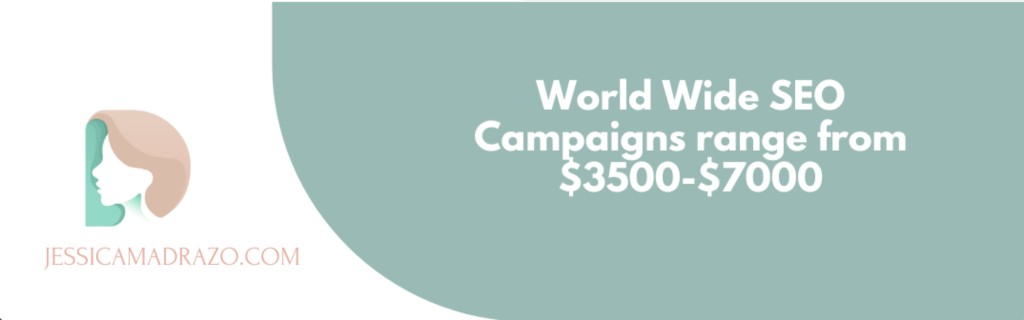 worldwide seo campaign cost